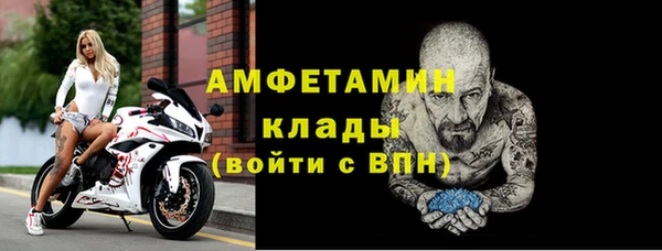 шишки Абаза