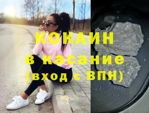 шишки Абаза