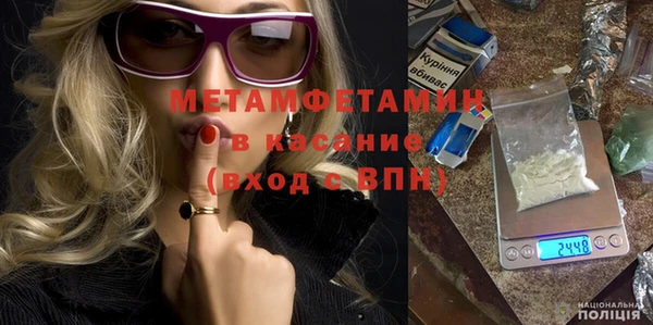 шишки Абаза