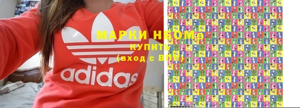 шишки Абаза