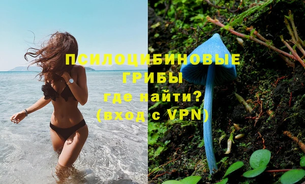 прущая мука Алзамай