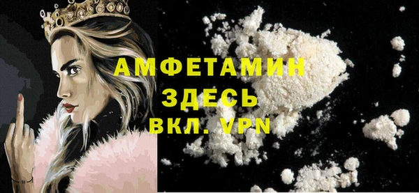 шишки Абаза